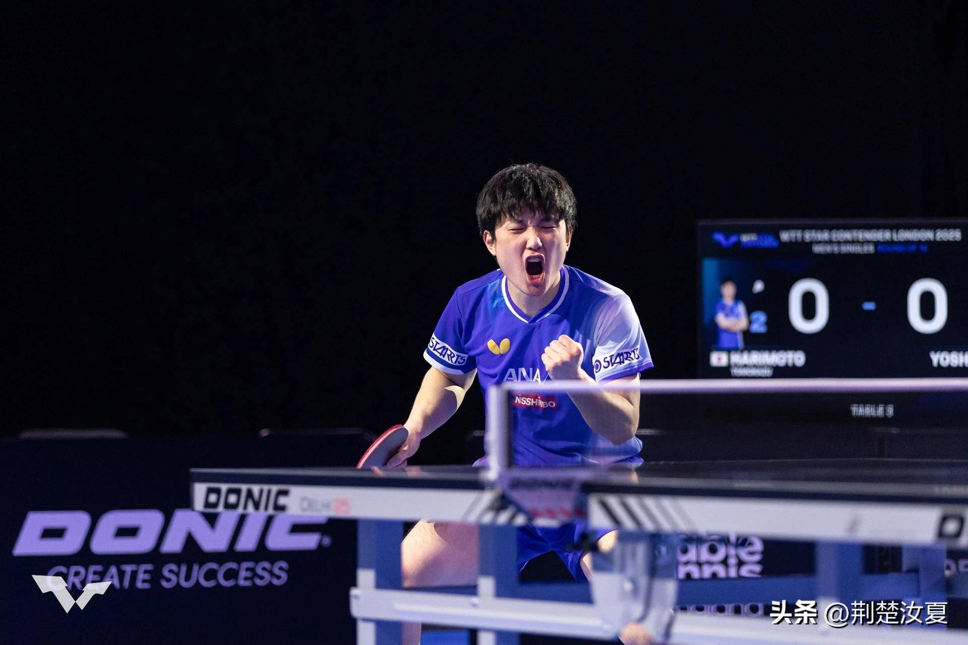 关于中国队轻取波兰队,张本智和扛起全队的信息 关于中国队轻取波兰队,张本智和扛起全队的信息