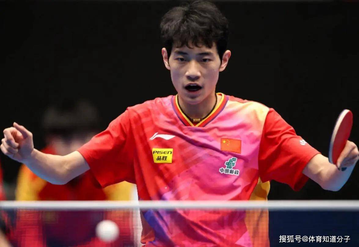 开云下载-中国队逆转波兰队，张本智和状态火热的简单介绍